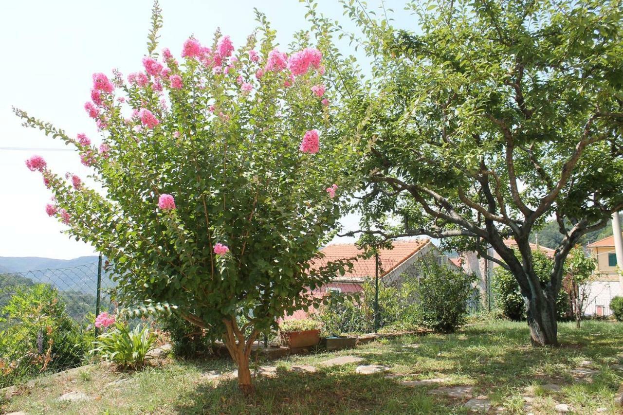 La Casetta Di Graziella Apartamento Vezzi Portio Exterior foto